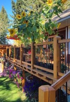 Golden Bed & Breakfast | Deer Ridge B&B