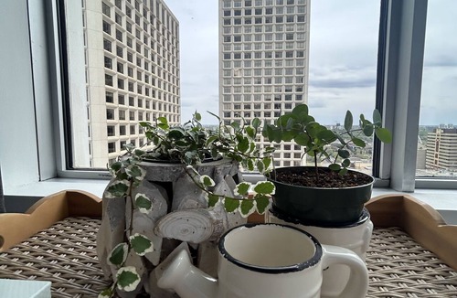Downtown Edmonton Apartment | Downtown Suite - Stunning View Right in the centre of Edmonton