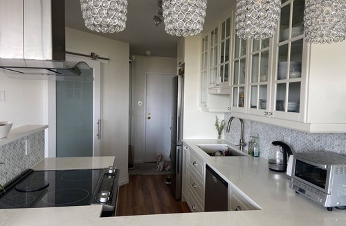 James Bay Apartment | Downtown View