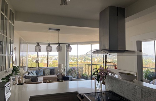 James Bay Apartment | Downtown View