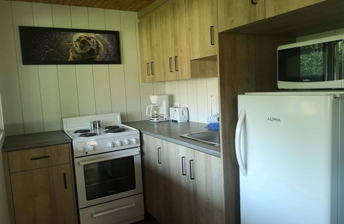 Frampton Ski Chalet | Escape in the heart of Miller Zoo | Sheira Shack