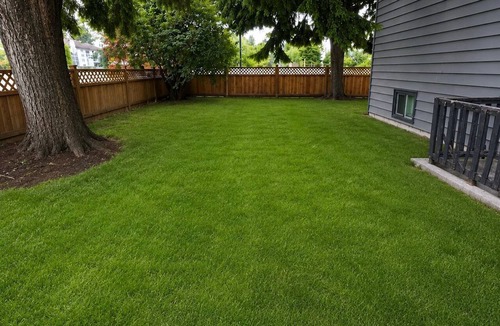 Burnaby House | Family Friendly Cozy Corner