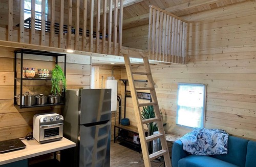 Fenelon Falls Cabin | Fantastic Rustic Lakefront Cabin with Barbecue in Kawartha Lakes, Ontario