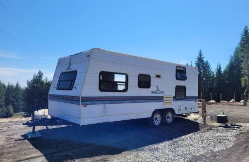 Gibsons Other | Gibsons Creek RV Resort and Campground