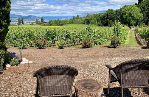 Okanagan-Similkameen House | Gjoa's Vineyard - The Véraison Guest Room