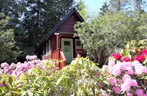 Ucluelet Ski Chalet | Great Cabin In Close To Walking Trails And Beaches - 13T
