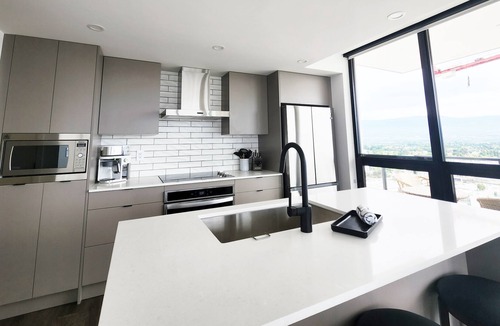 North End Condo | Lake View + Downtown Corner Unit