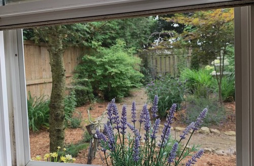 Thamesford Cabin | Lavender Cabin