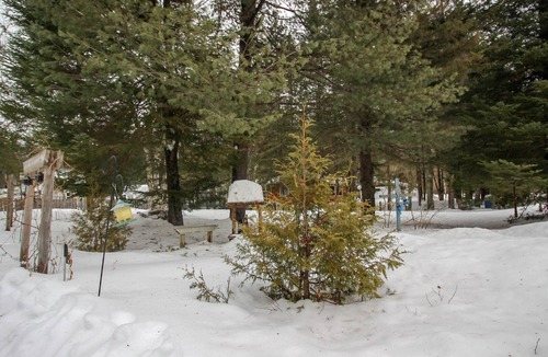 Saint-Alexis-des-Monts Ski Chalet | Le Pin Rouge - Near Réserve Faunique Mastigouche