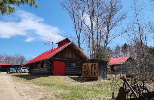 Dysart et al Cabin | Log cabin stay at Haliburton Forest. Trails, Wolf Centre, Canopy Tour, 100lakes!