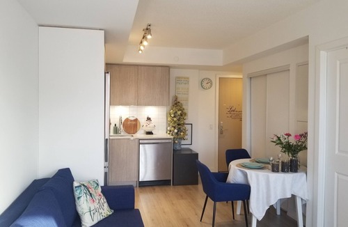 Yorkville Condo | New Yorkville Condo Great Location + Gym