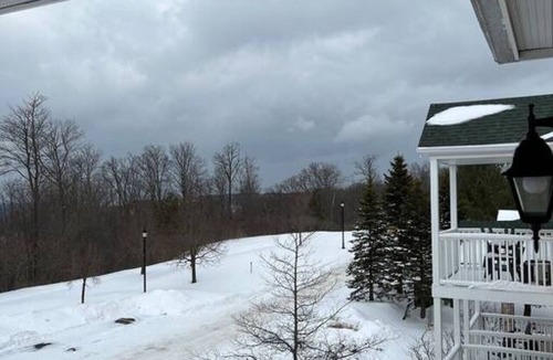 Oro-Medonte Apartment | Newly Renovated Suite @ Carriage