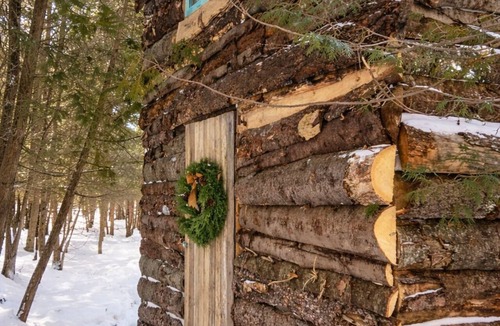 Markdale Cabin | Oak, the tiny cabin in the woods