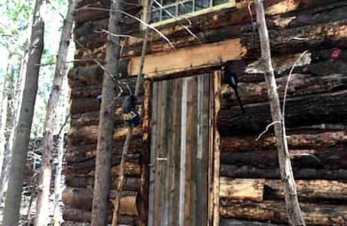 Markdale Cabin | Oak, the tiny cabin in the woods