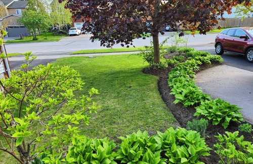 Cobourg House | Pacho place- Self contained basement apartment. Close to all amenities and 401.