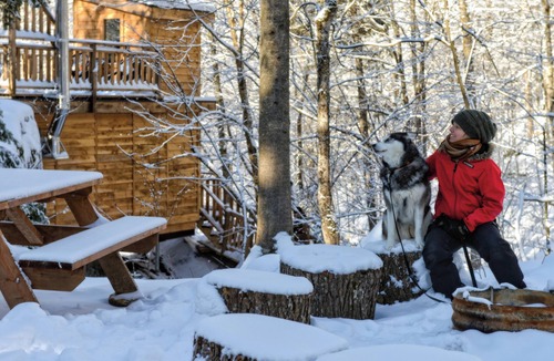 Saint-Faustin-Lac-Carre House | Perched yurt treehouse with skylights | Lodging #09