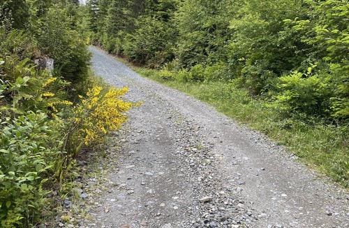 Juan de Fuca Electoral Area RV Rental | Private 80 acre off grid paradise pad and wilderness tent camping