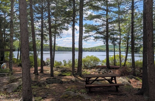 Lincoln Cabin | Private waterfront cabin with 4 acres on Egg Pond - Lincoln