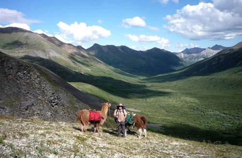 Faro Cabin | Rural Off-Grid Cabin Rental in the Heart of Yukon Territory, Canada