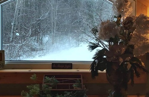Central Huron Cabin | Serene Tiny Cabin Perfect for Relaxing Couples Getaway in Central Huron, Ontario