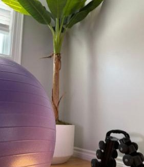 Downtown St. John's Apartment | Spacious Downtown Heritage Stay Free Parking
