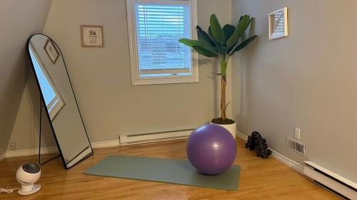 Downtown St. John's Apartment | Spacious Downtown Heritage Stay Free Parking