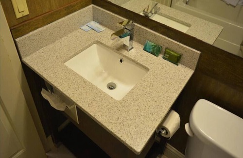 Fernie Apartment | Standard 2 Queen Bed- Pet Friendly
