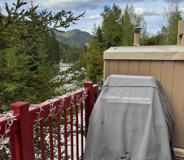 East Kootenay Apartment | Steps to Lifts! 1BR Fully Renovated