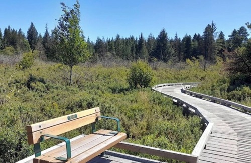 Delta House | Studio fully furnished suite in Delta BC