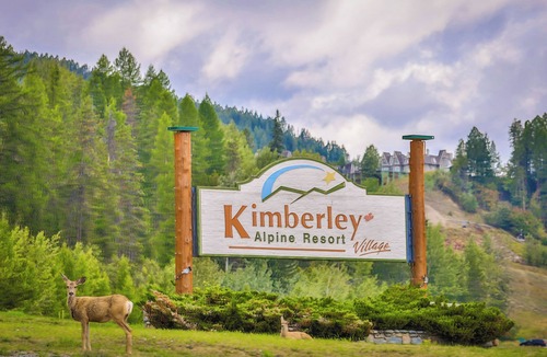 East Kootenay Apartment | The Burrow - cozy 1 bedroom studio