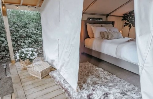 Tsawwassen Cabin | The Eagle's Nest
