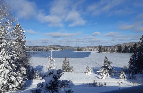Lake St. Peter Cottage | The Laughing Moose Lodge Too Hot tub Sauna Beautiful view
