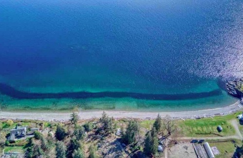 Sliammon Cottage | The Little Beach Side CottageA8