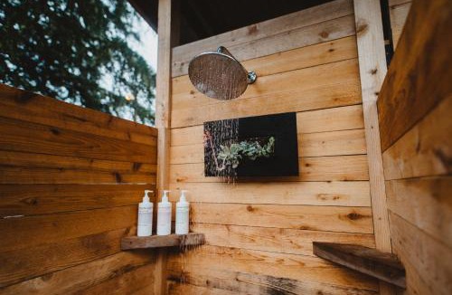 Tofino Hotel | The Shoreline Tofino