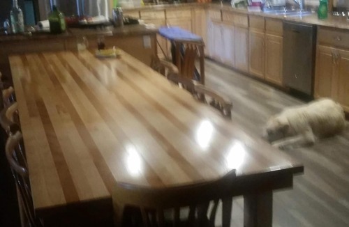 Annapolis Subdivision D House | This is a TURN KEY Private Rental JUST BRING YOUR CLOTHS @ FOOD-CHIEFS KITCHEN