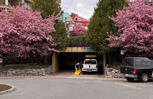 Mont-Tremblant Pedestrian Village Apartment | Tremblant Pedestrian Village Condo - Johanssen