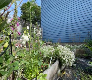 Downtown Eastside House | two twin beds 230sf