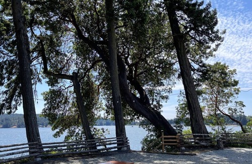 Sooke Cottage | Two Waterfront Cottages with Beach Access - Sleeps 6