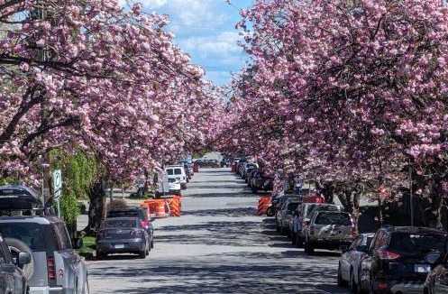 Kitsilano Apartment | Vancouver Condo for Major international sporting event
