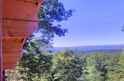 Golden Lake Cabin | VERY PRIVATE, Escarpment Cabin, No Neighbours, Pet Friendly - Sarah Lesley Cabin