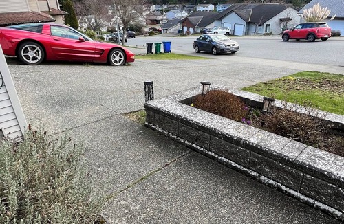 Regional District of Nanaimo Apartment | Wes and Tatiana’s Home away from Home