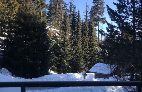 Alta Vista House | Whistler Blueberry Dream