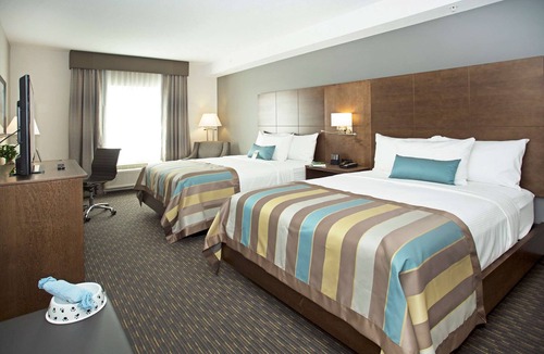 Calgary Hotel | Wingate By Wyndham Calgary Airport