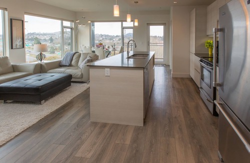 Saanich West Condo | WOW! Floor to Ceiling Windows, Mountain And Lake Views