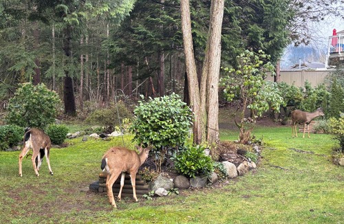 District of North Vancouver House | Your summer base: forest trails, mountains, beaches and Deep Cove minutes away.