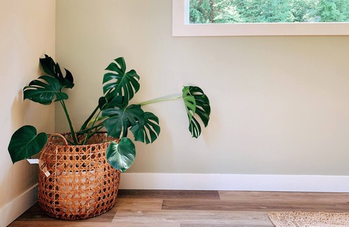 Davis Bay House | Zen one-bedroom suite next to the forest. Walkable to beach!