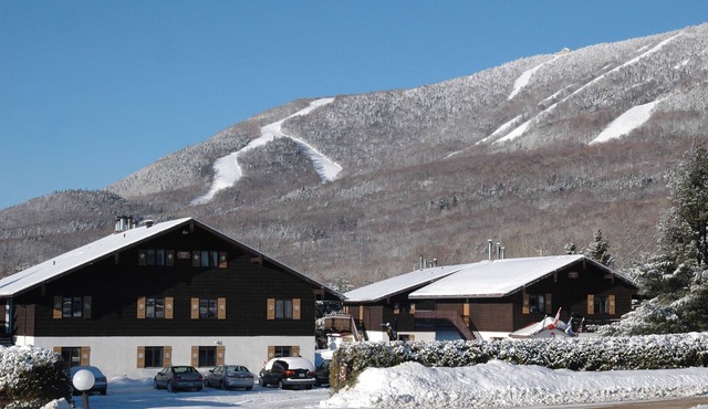 [103] 3 bdr condo Mont Sainte-Anne ,30 min Quebec City, Le Massif ski