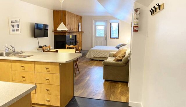 [105] Mont-Sainte-Anne, lovely condo 1 bedroom with air conditionning
