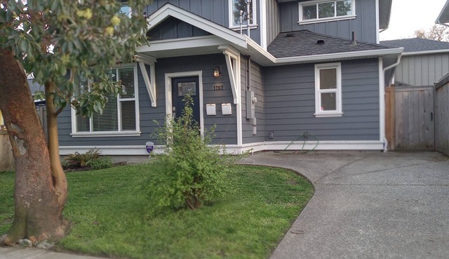 #114 Haultain St - New Full 4 Bedroom House