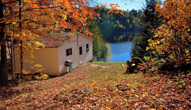 2 Bedroom Lakefront Cabin on Baptiste Lake in Highland Grove
